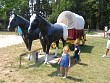 OC-Babies 076.jpg